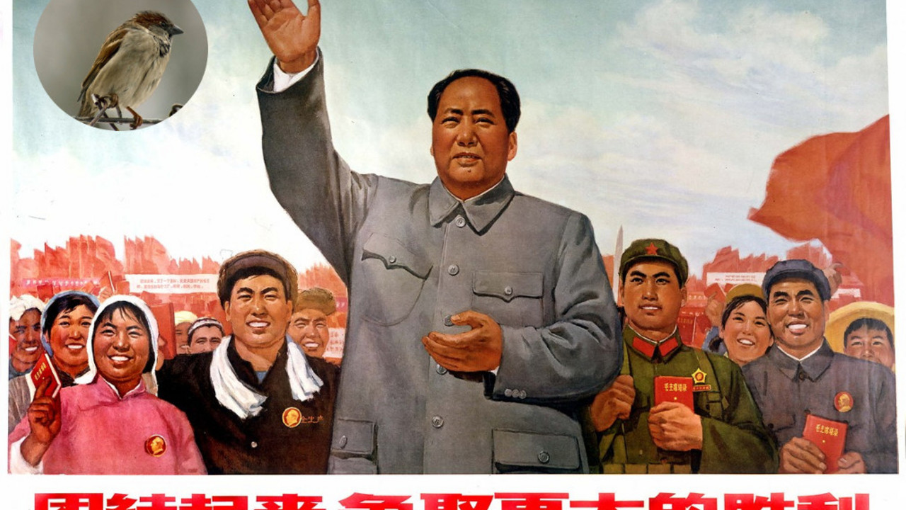 mao cedong