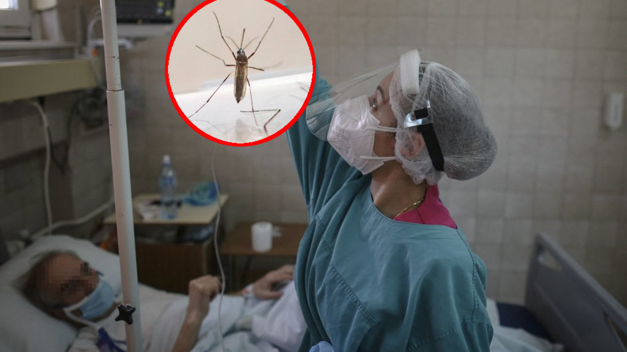 Pandemija korona virusa u Srbiji