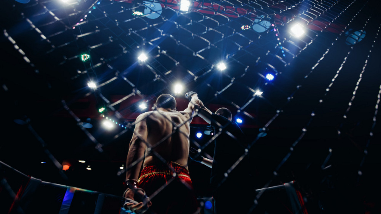 MMA borac