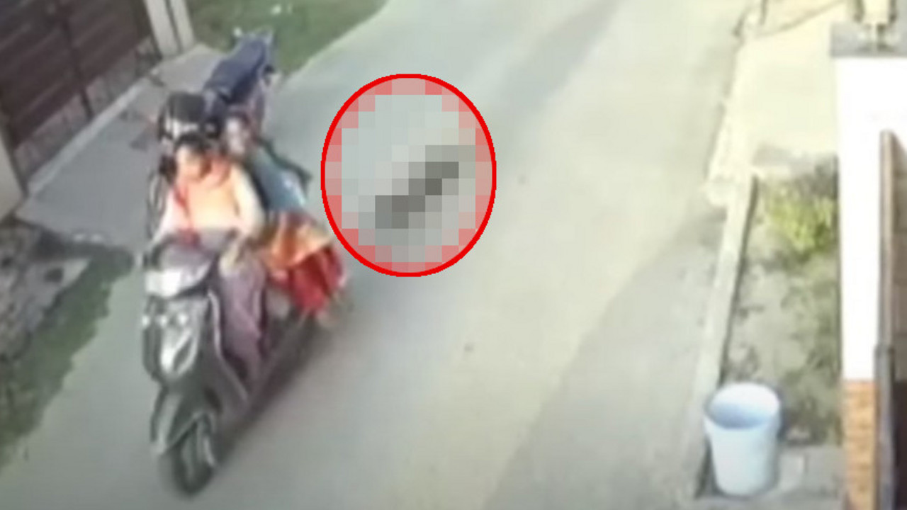 Vukle psa na motoru