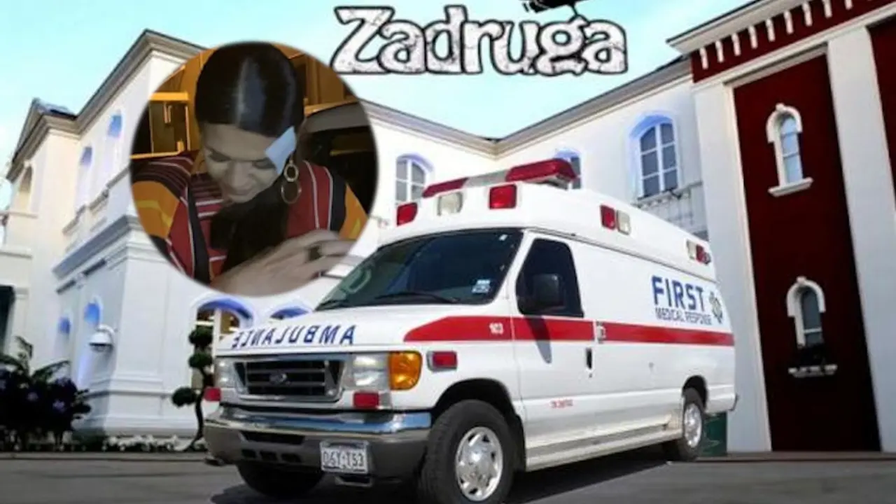 zadruga