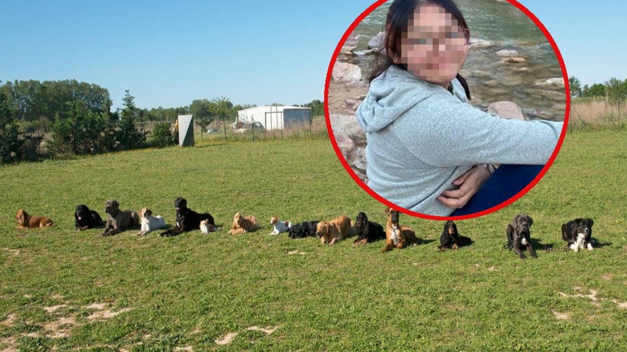 Devojčicu izujedao čopor od 20 pasa