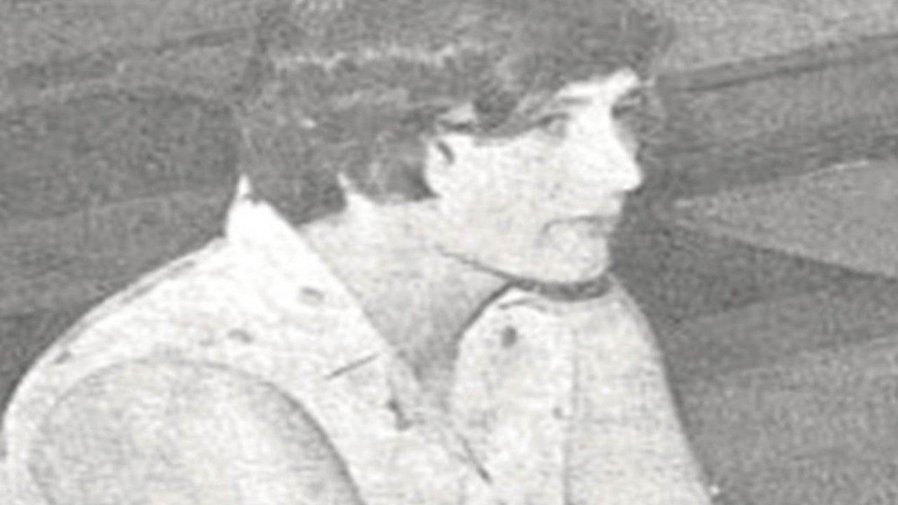 šefka hodžić