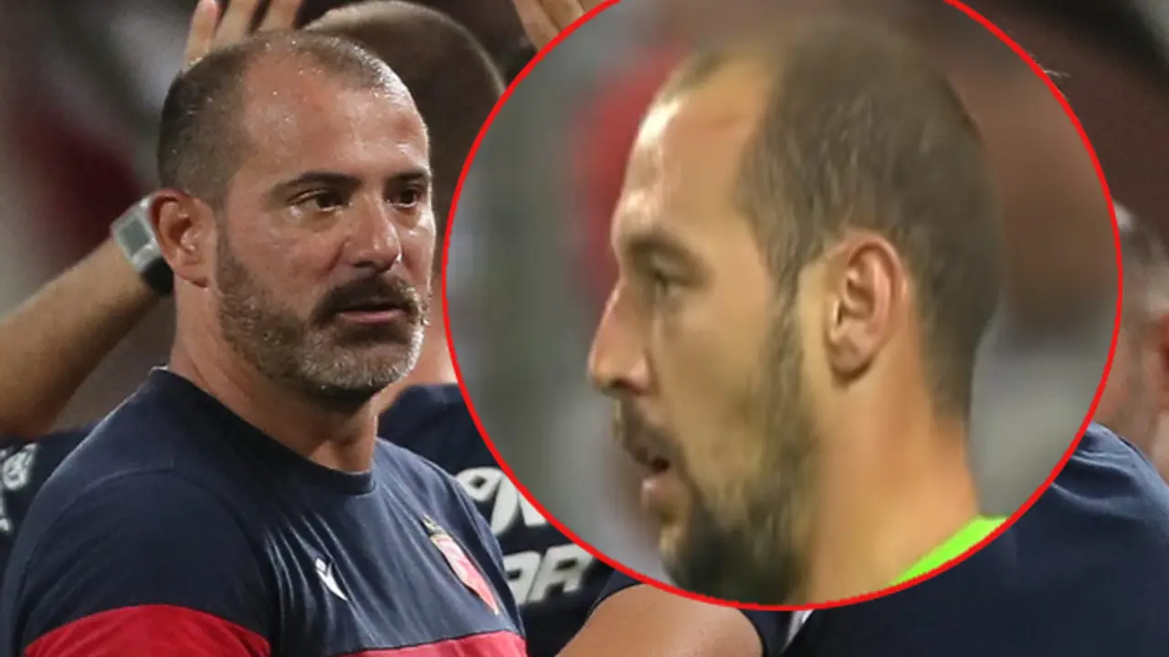 Milan Borjan, Dejan Stanković