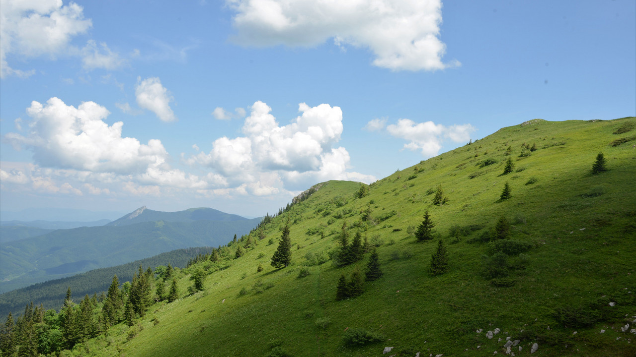 Jahorina