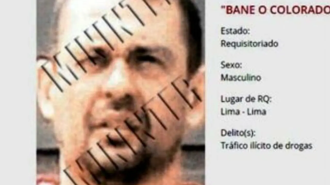 Branko