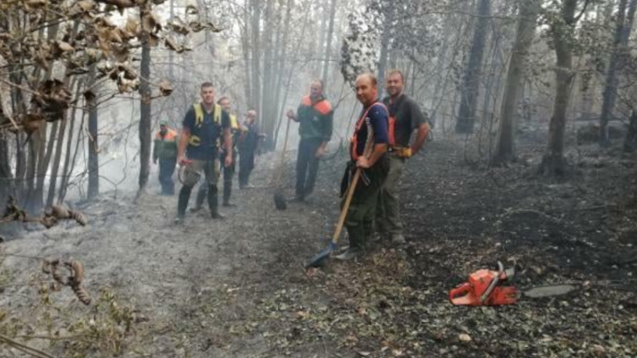 Požar na Tari gasili vatrogasci, radnici NP Tara i meštani