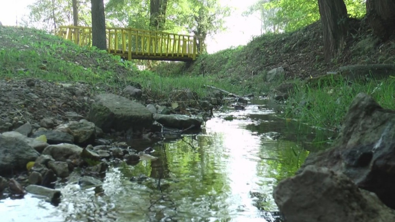 Slatinska Banja