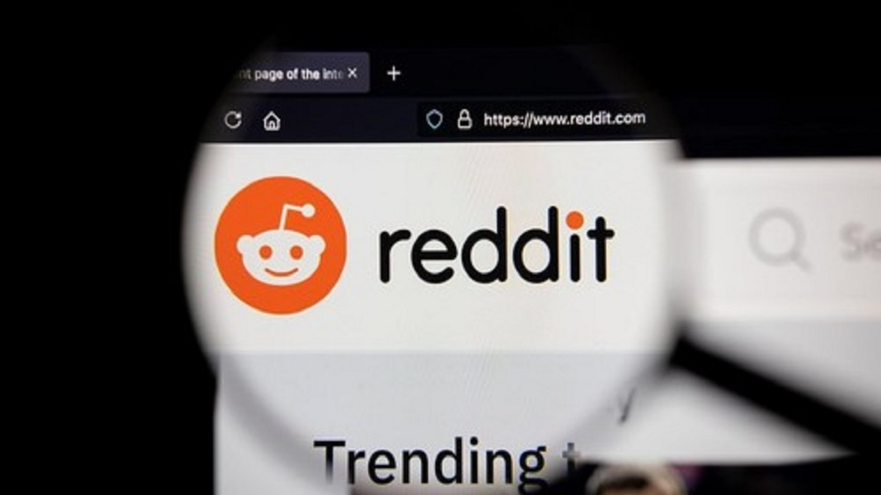 reddit