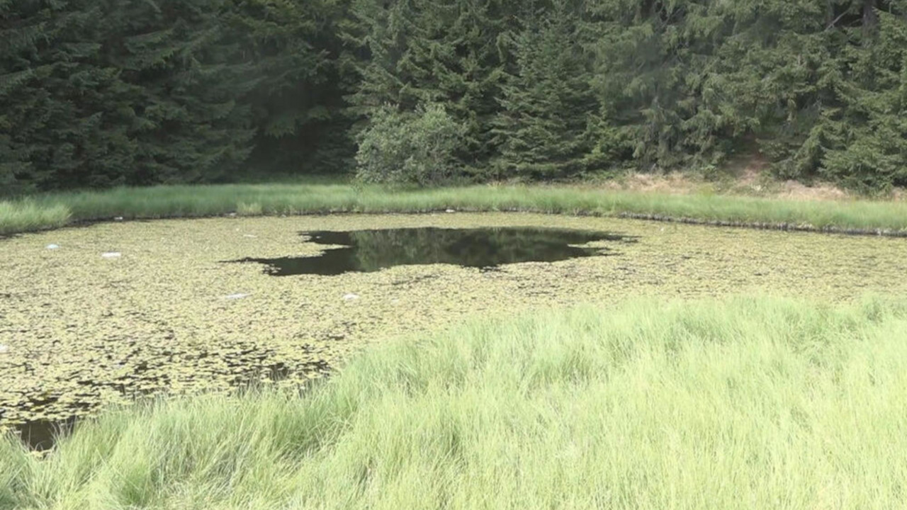 jezero