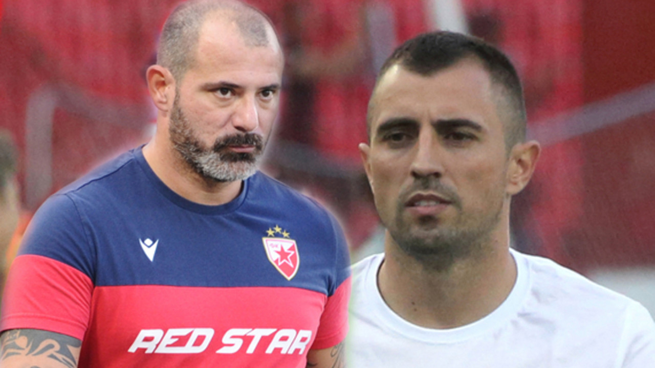 Dejan Stanković, Nenad Krstičić