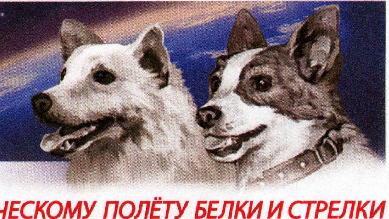 Strelka i Belka