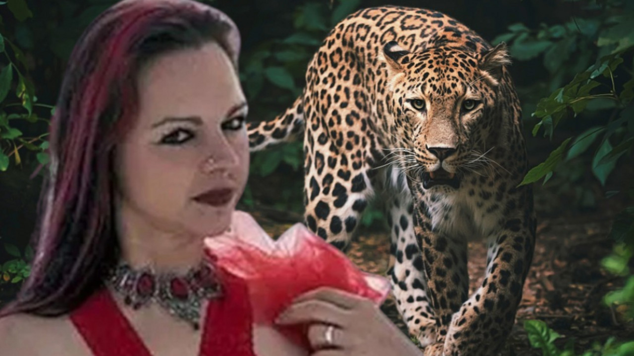 leopard