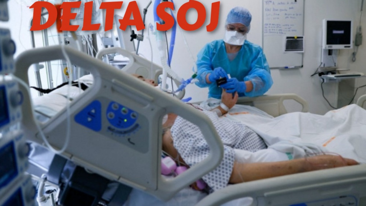 koronavirus, delta soj
