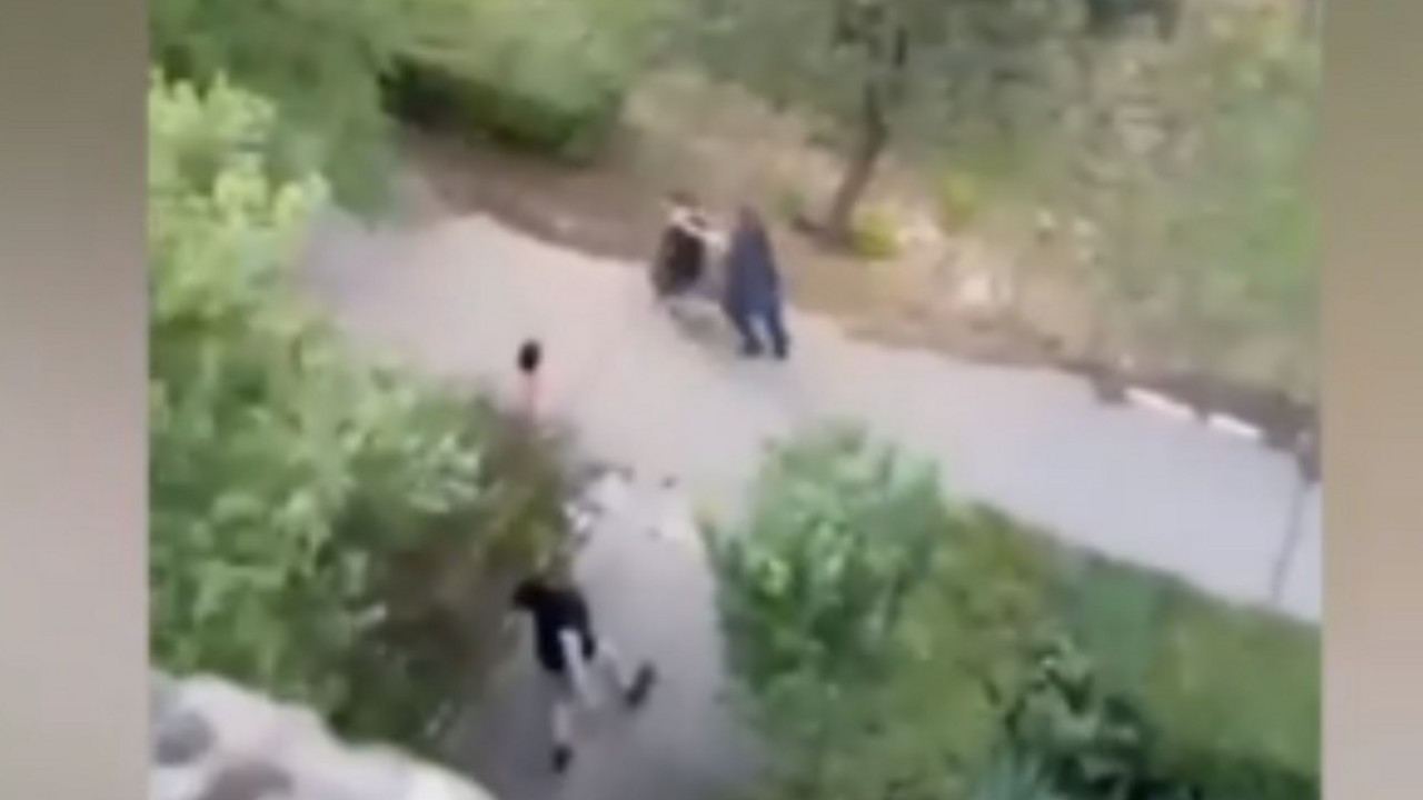 Akcija hapšenja u Beogradu