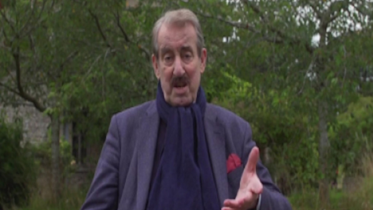 Bojsi