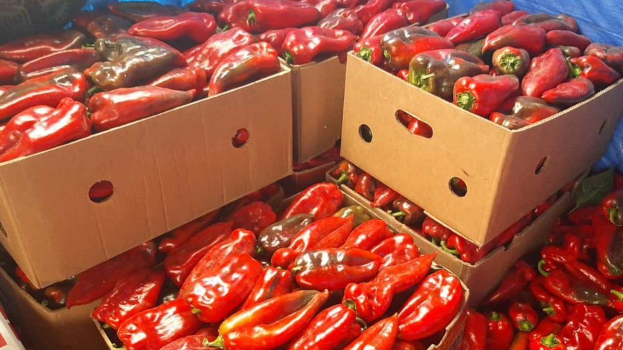 paprika