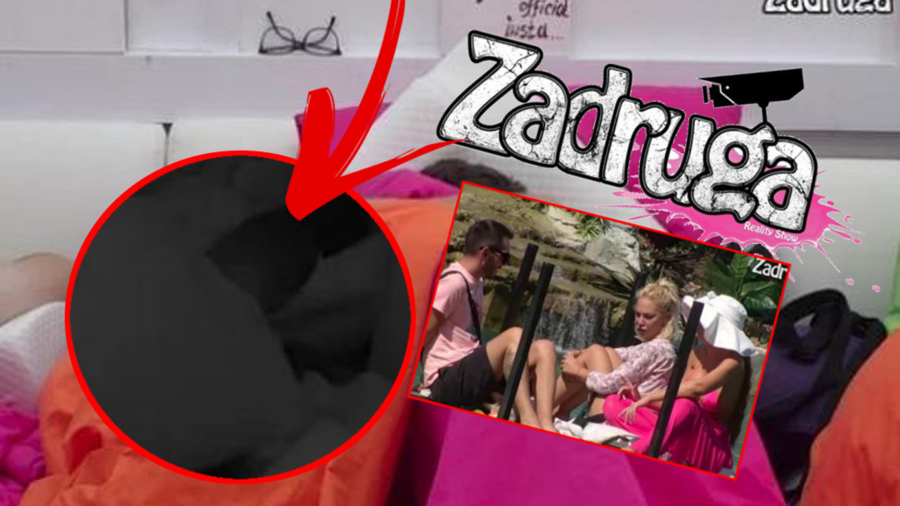 Zadruga 5