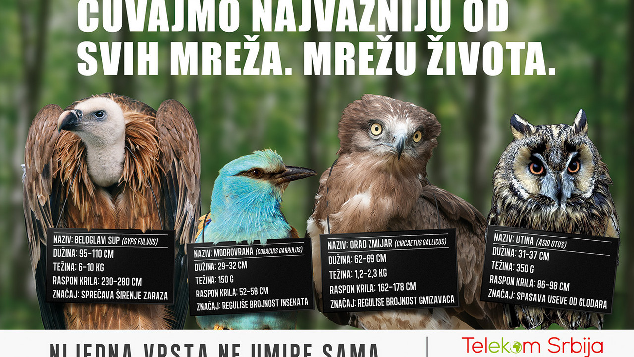 Telekom Srbija