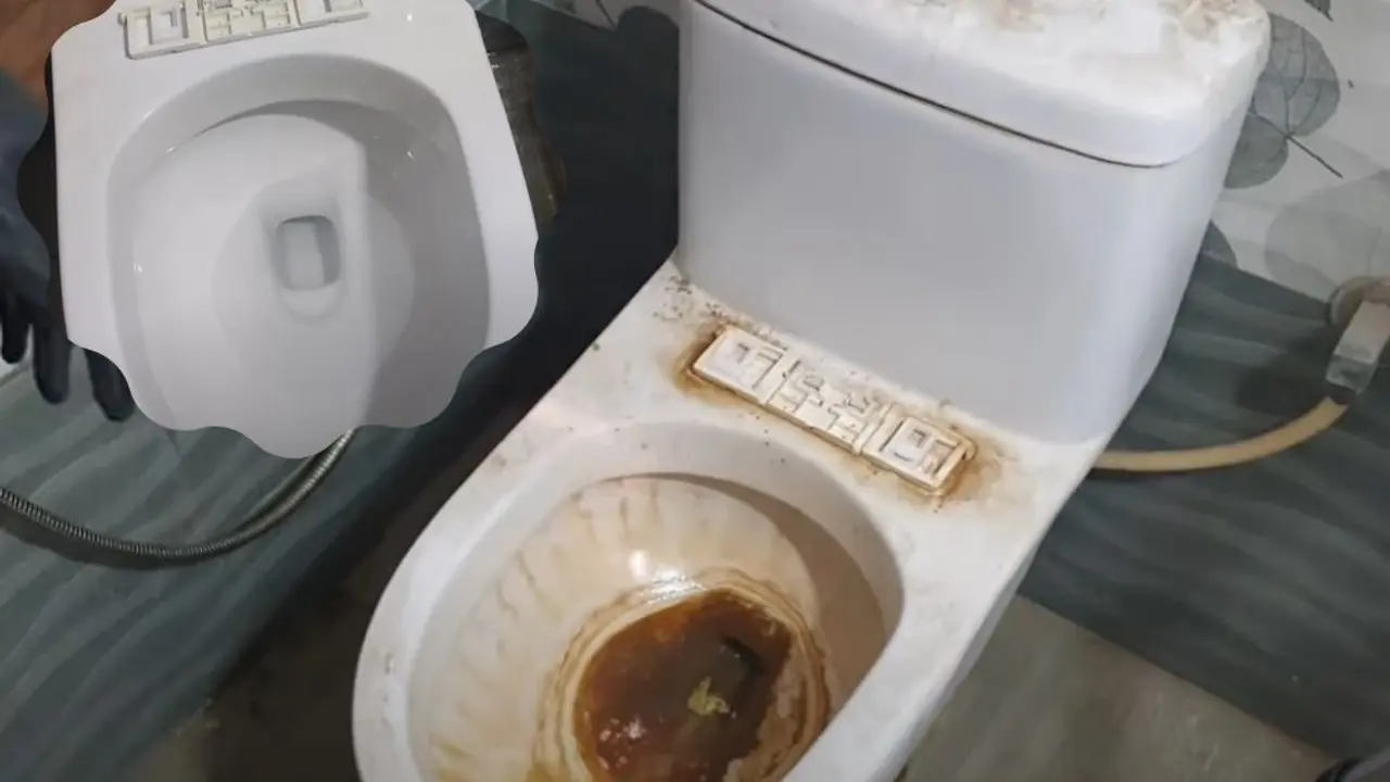 wc šolja
