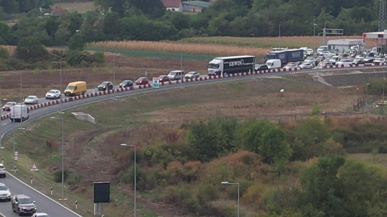 gužva