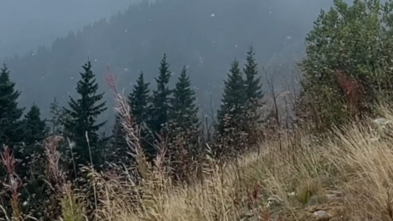 Kopaonik