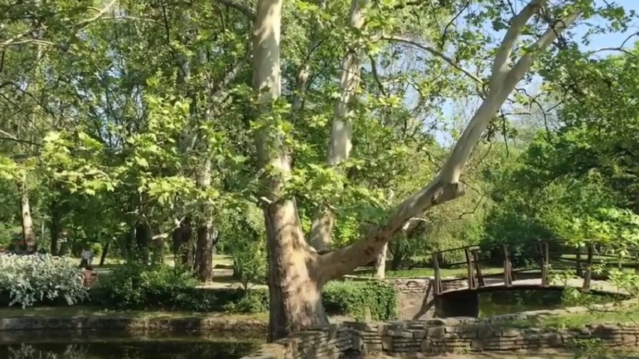 Topčiderski park