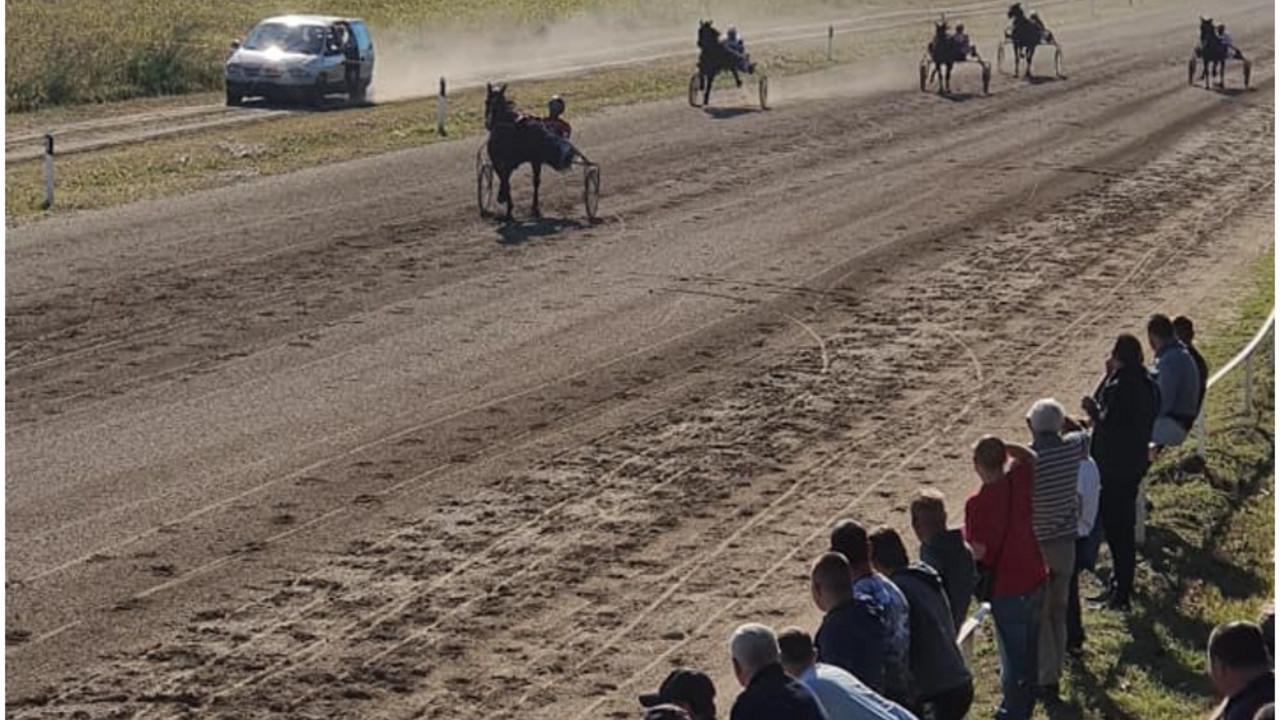 konjske trke u Velikoj Plani