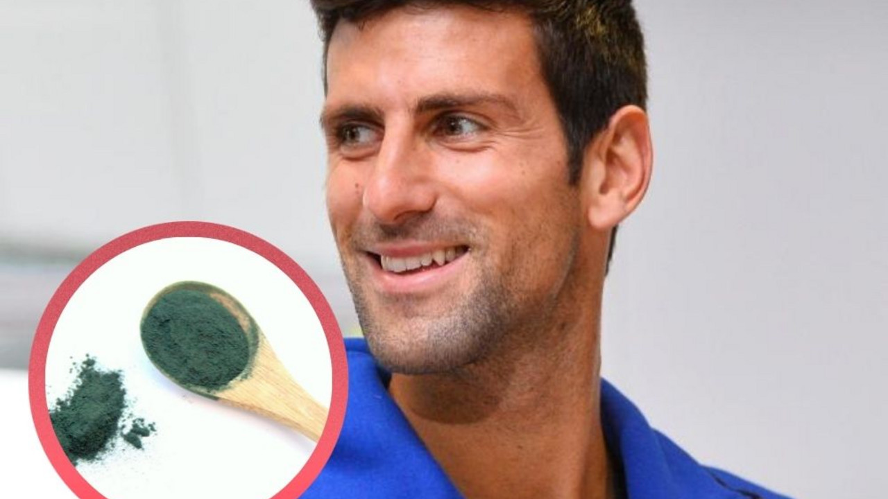 novak