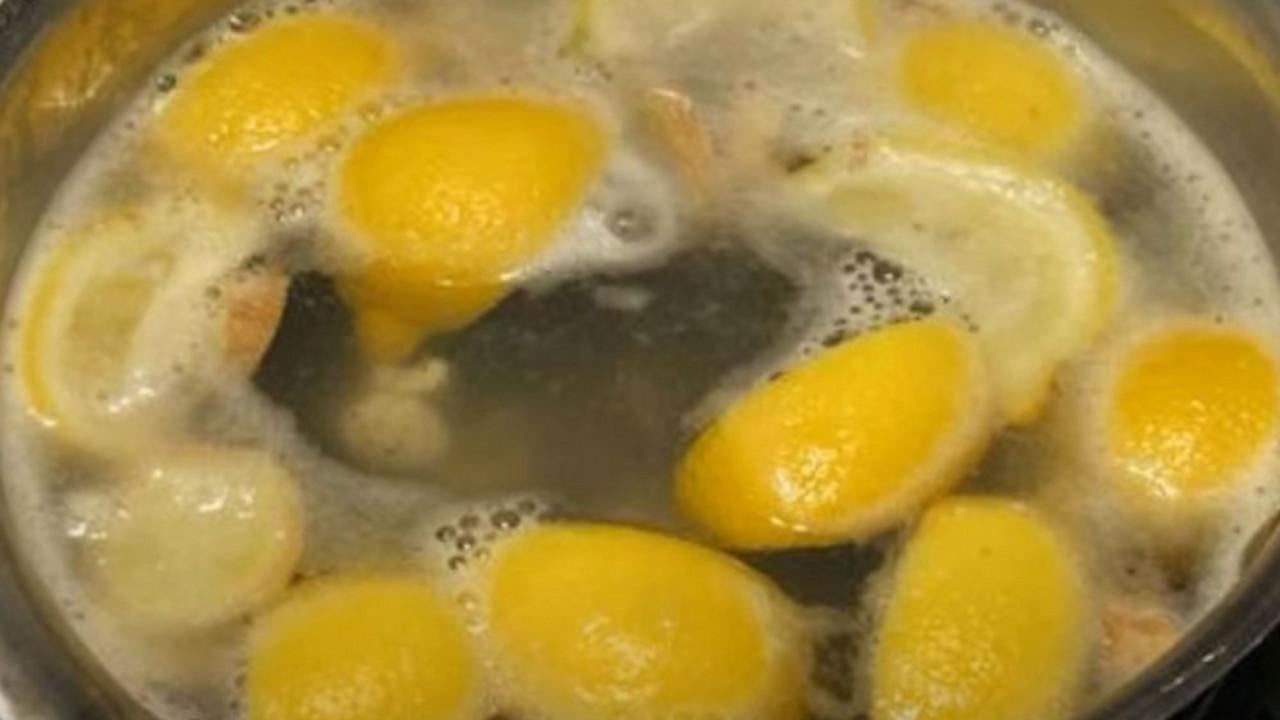 topla limunada