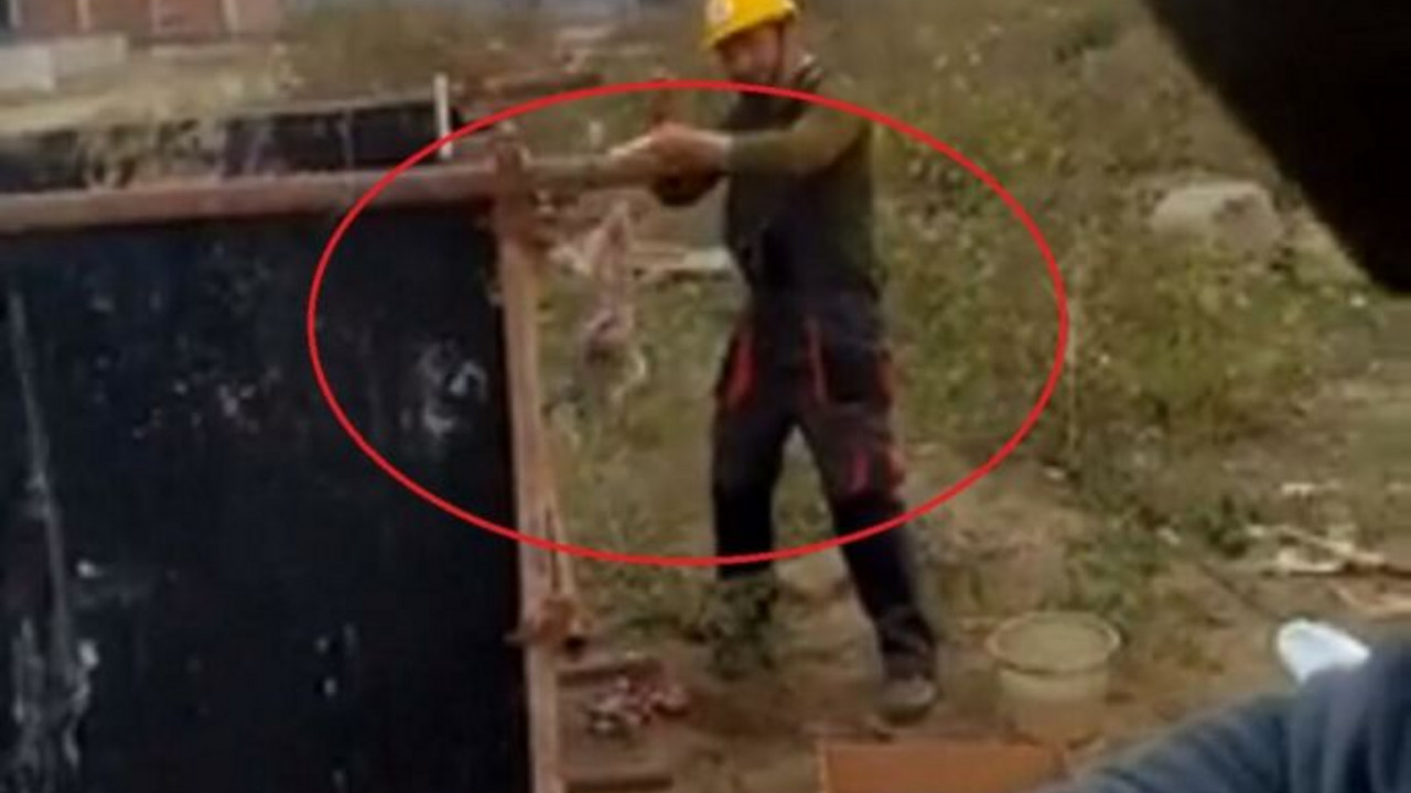 Kineski radnici deru životinju na gradilištu