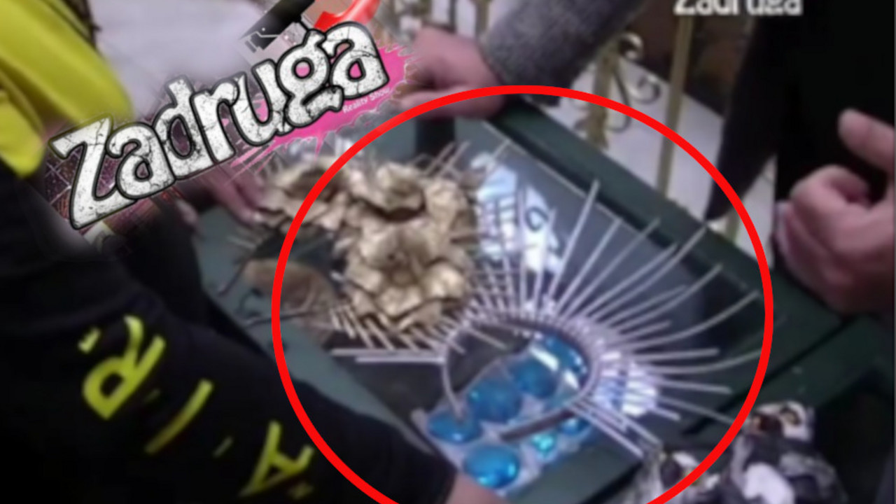 Zadruga 5