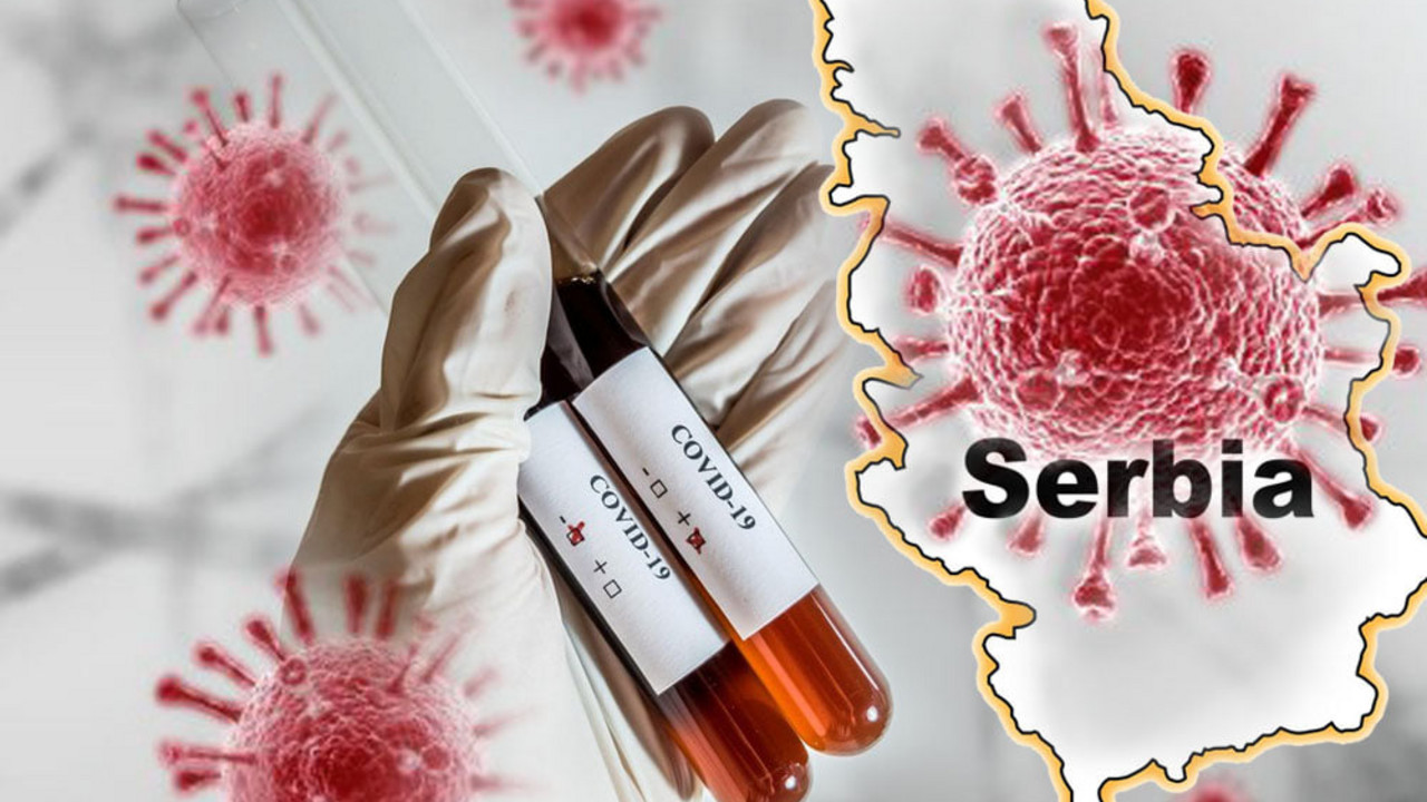 korona virus