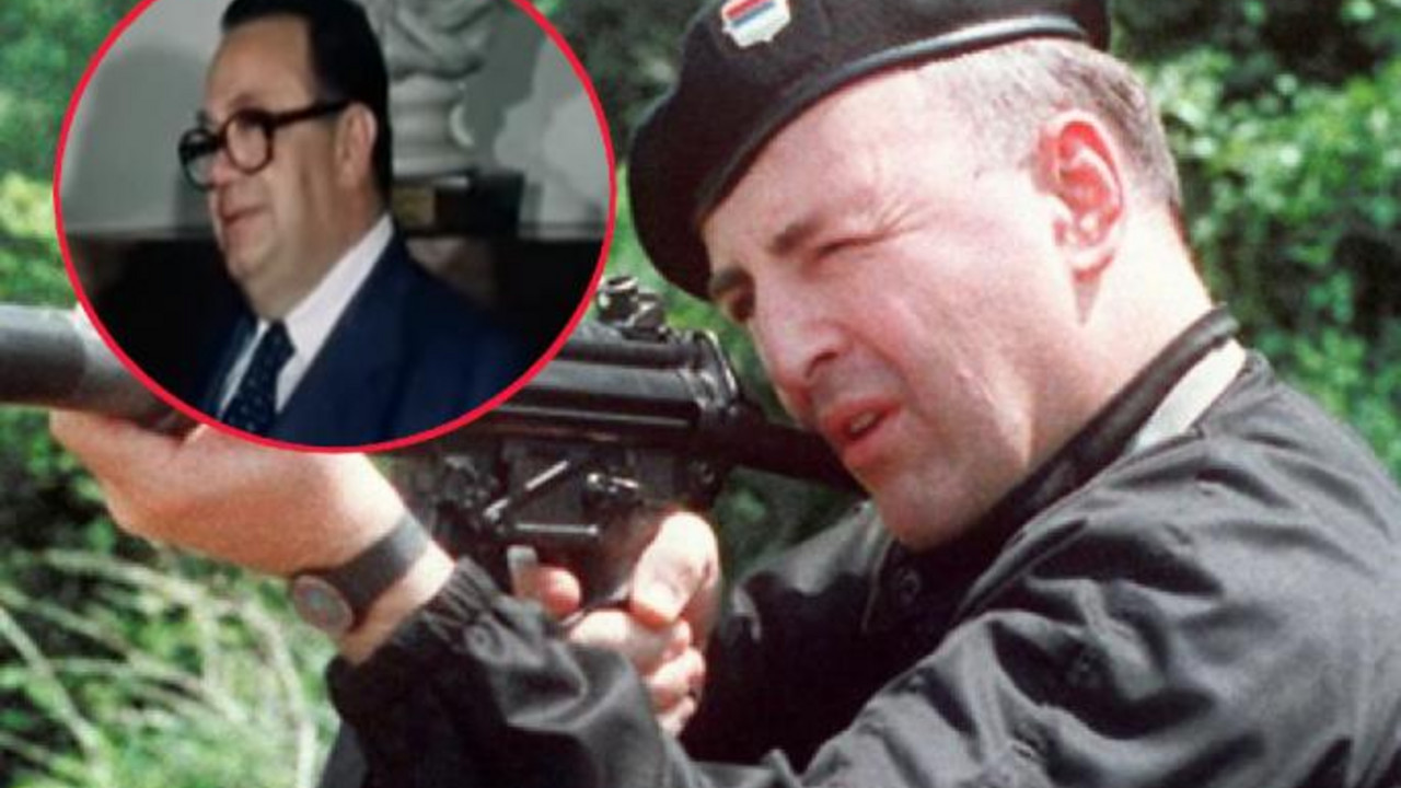 Stane Dolanc, Željko Ražnatović Arkan