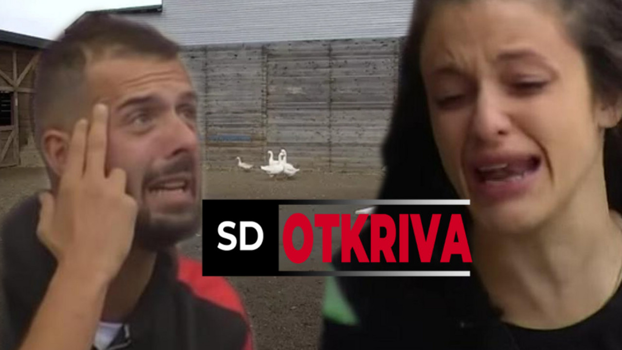 Aleksandra Kostadinović, MC Damiro