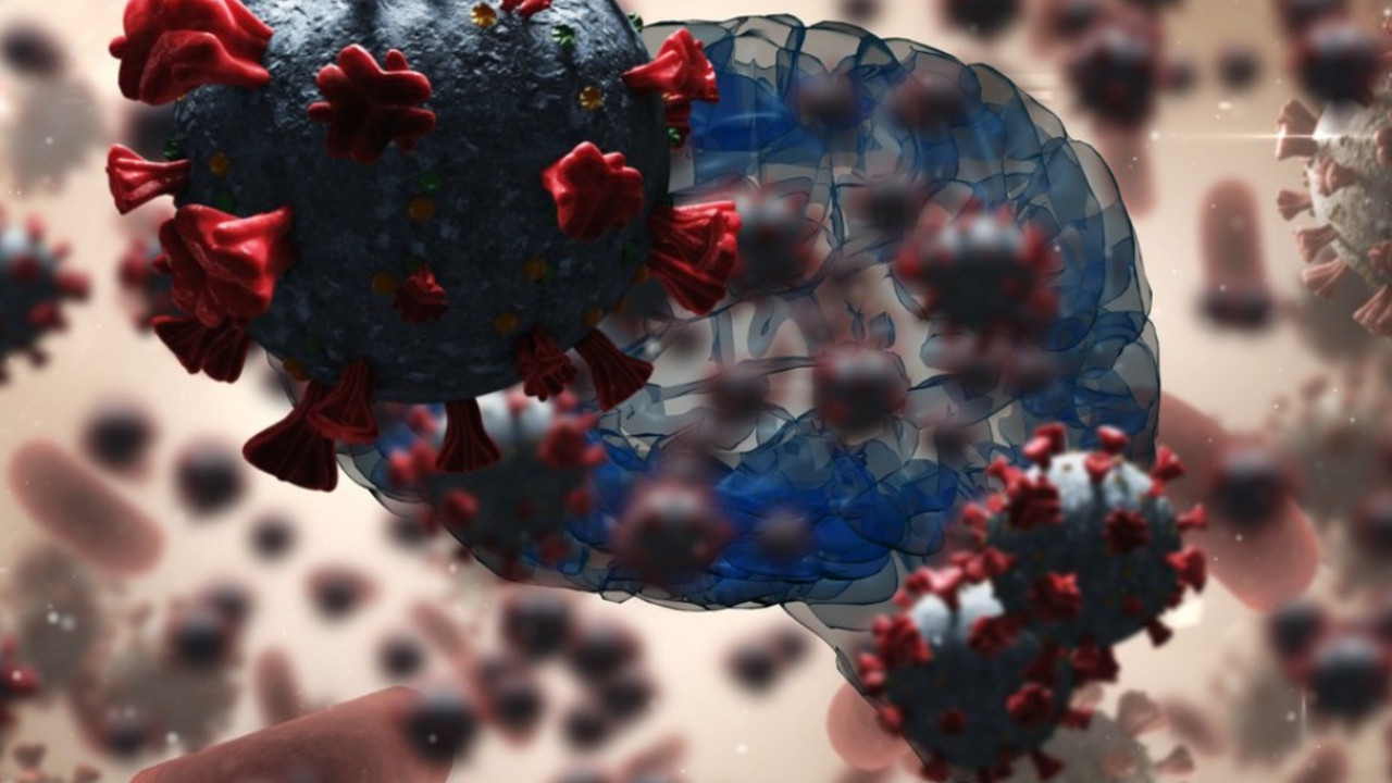 Mozak i korona virus