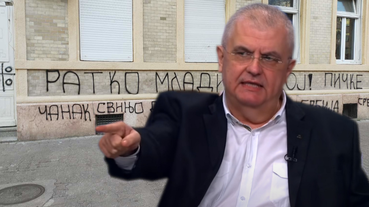 nenad canak