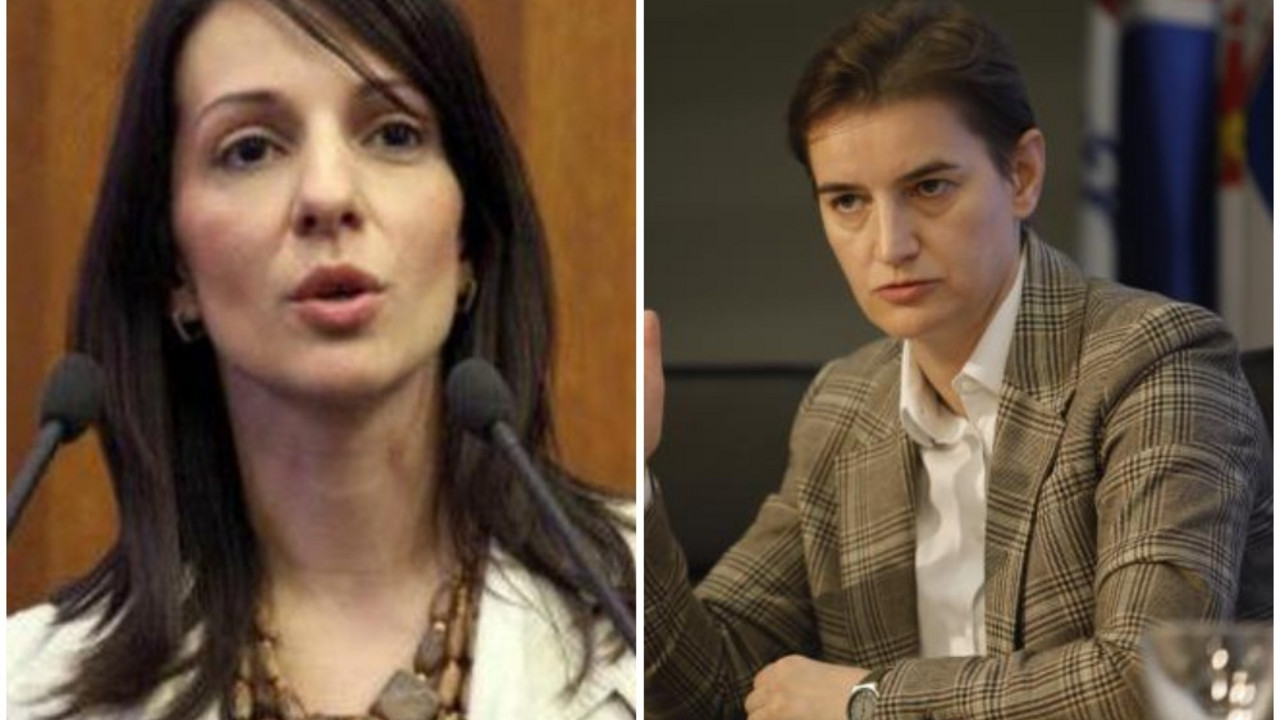 Marinika Tepić, Ana Brnabić