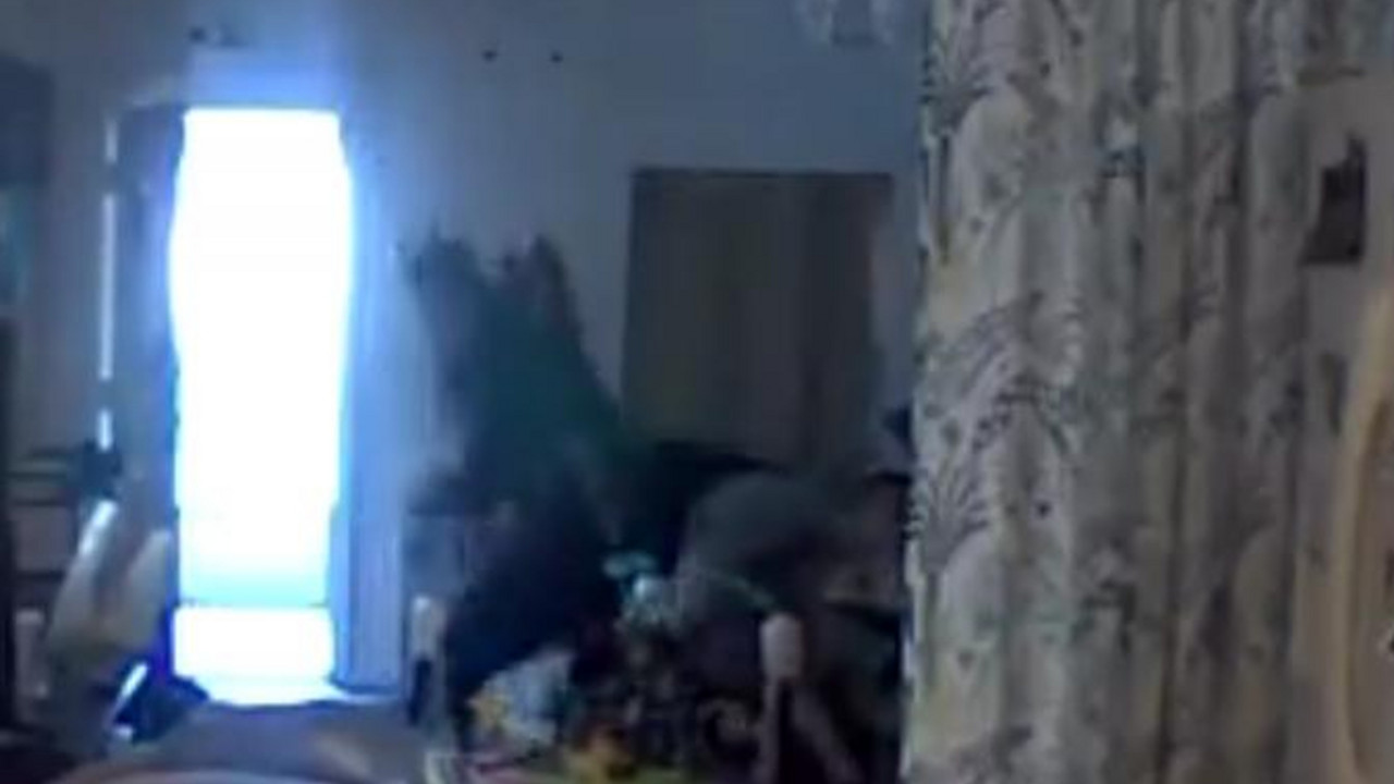 tuča