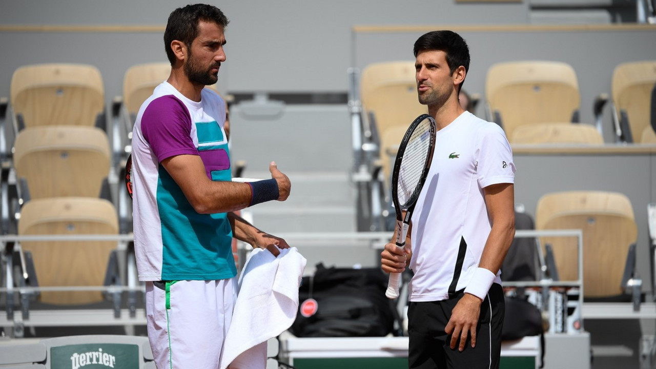 Marin Čilić, Novak Đoković