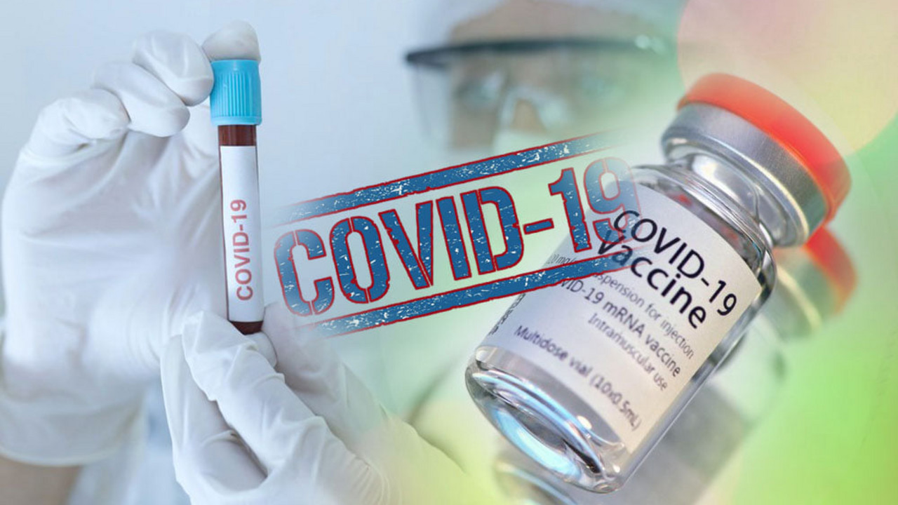 korona virus
