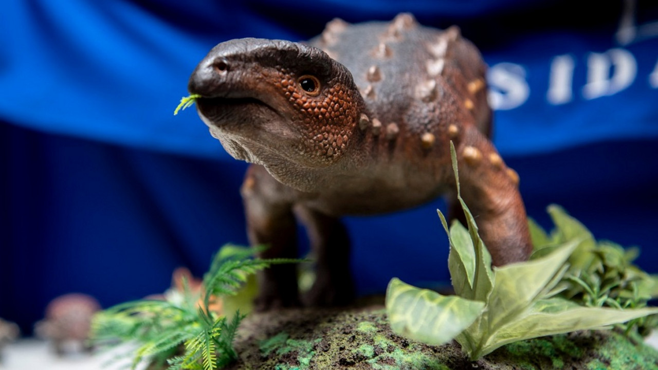 Dinosaurus