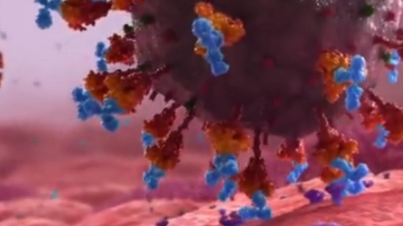 Koronavirus