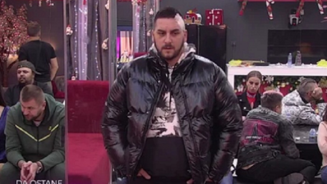 lazar čolić zola