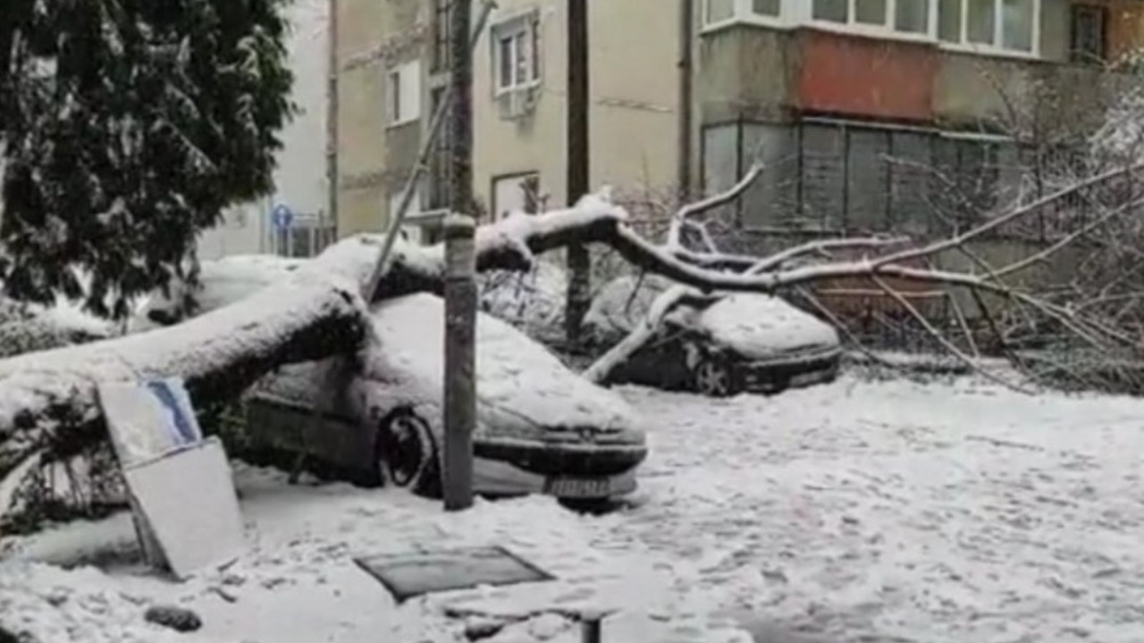 automobil