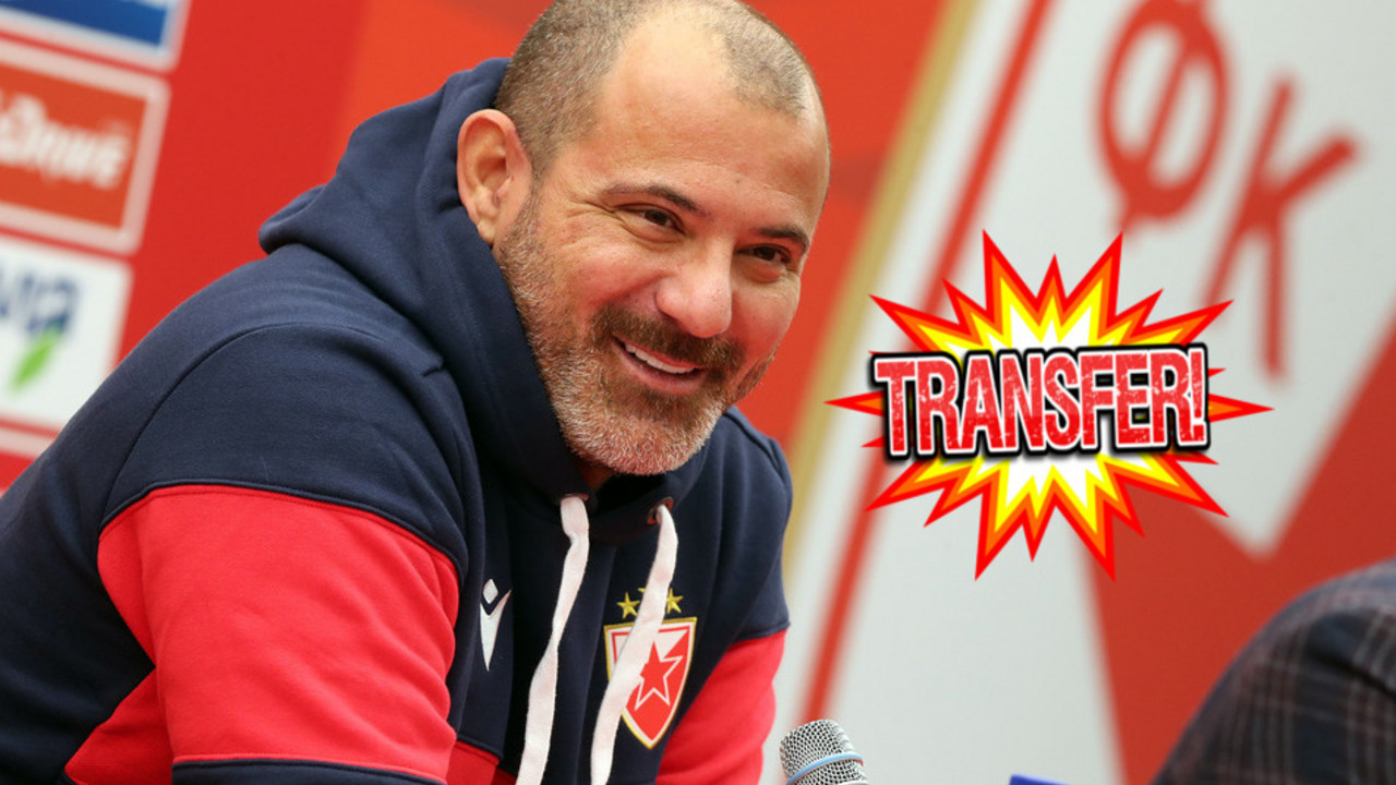 Dejan Stanković, FK Crvena zvezda