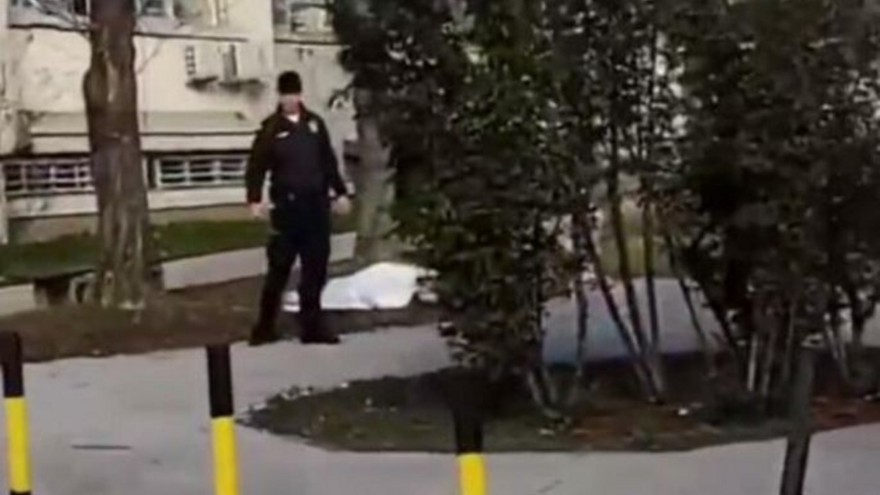 Telo na Novom Beogradu