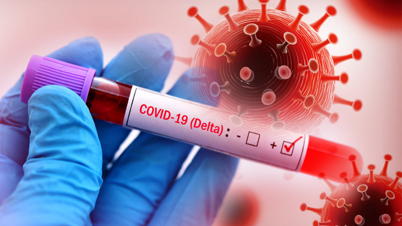 Korona virus