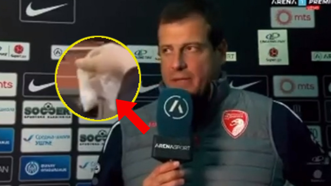Nenad Lalatović