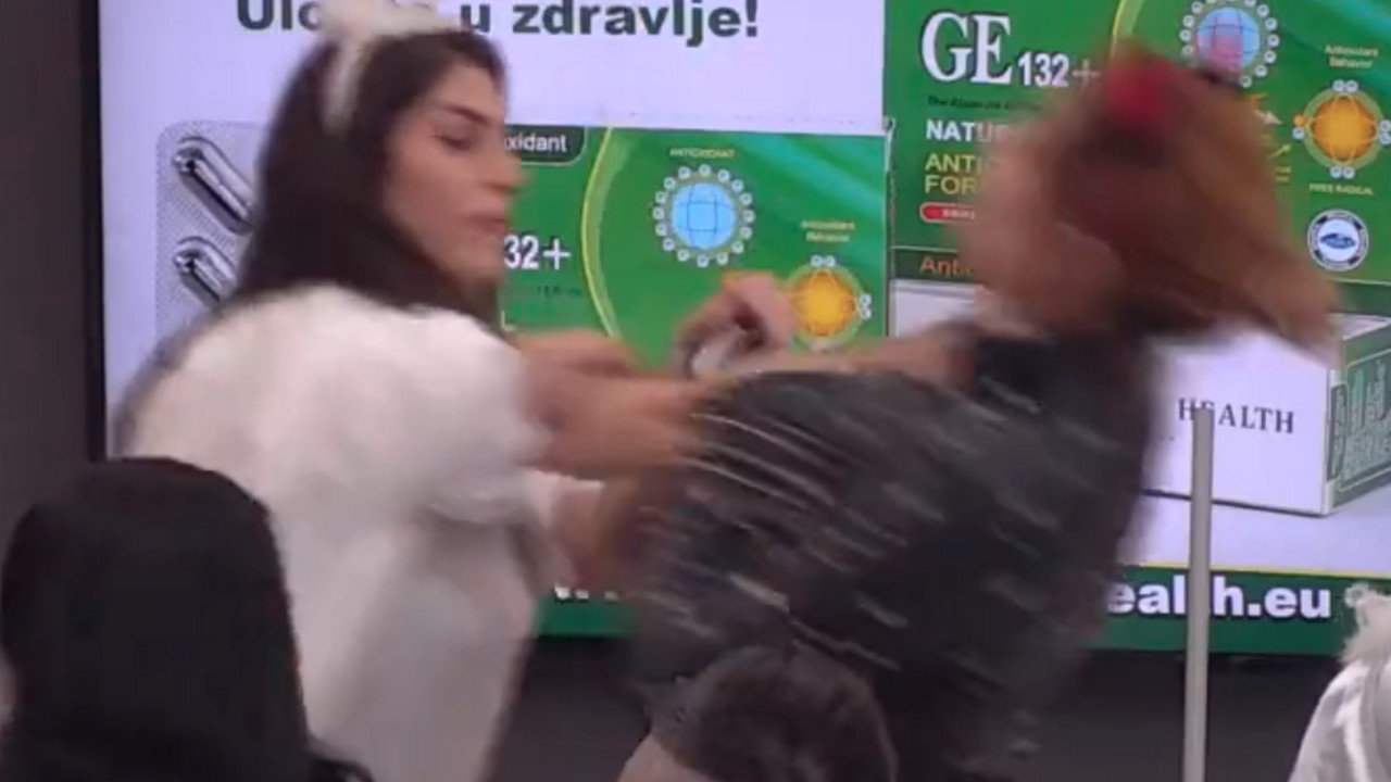 Zadruga